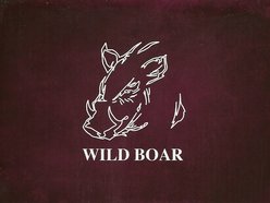 The Wild Boar