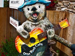 The Otter Rock