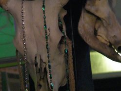 Old Quarter Acoustic Cafe