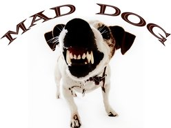 Mad Dog Folk Mad Dog Folk