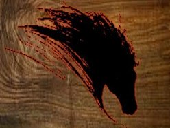 black stallion