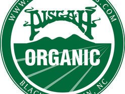 Pisgah Brewing Company