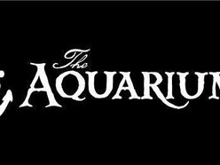 The Aquarium
