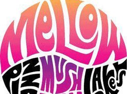 Mellow Mushroom Adams Morgan