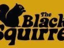 The Black Squirrel The Black Squirrel