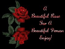 Evangelist Renee Ministries