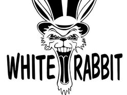 The White Rabbit