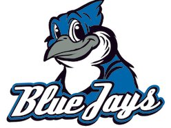BlueJays Bar and Grill