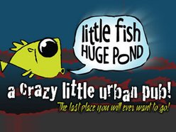 Little Fish Huge Pond
