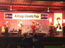 ACF Music Festival