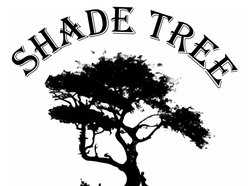 Shade Tree Cusoms & Cafe