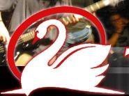 The White Swan Live