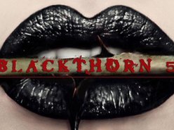 Blackthorn 51