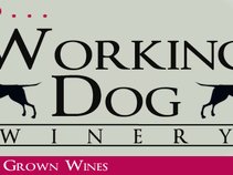 Working Dog Winery