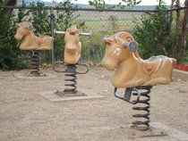 Dillon Farmers Market