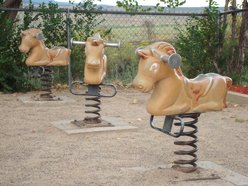 Dillon Farmers Market