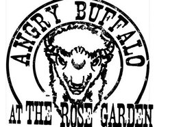 Angry Buffalo at The Rose Garden Angry Buffalo at The Rose Garden
