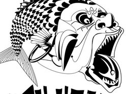 Fish Head Cantina Fish Head Cantina
