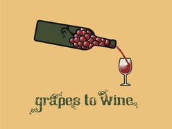 Grapes to Wine