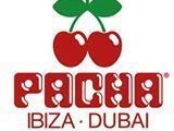 Pacha