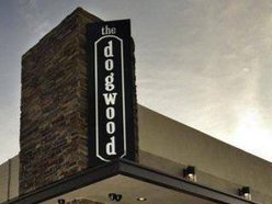 the dogwood the dogwood