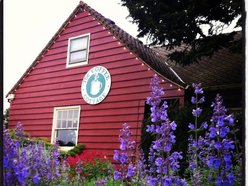 The Coffee Cottage The Coffee Cottage