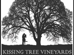 Kissing Tree Vineyards Kissing Tree Vineyards