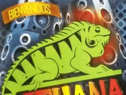 La Iguana Nightclub