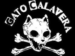 Gato Calavera
