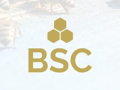 The Beehive Social Club