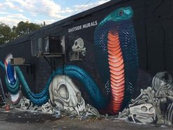 The Cobra