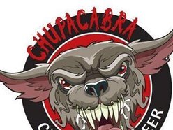 Chupacabra Craft Beer & Salado Lone Star Winery