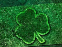 Mo's Irish Pub - Katy