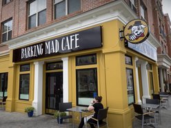 Barking Mad Cafe
