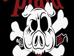 Plaid Pig Lounge Plaid Pig Lounge
