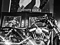koyote ugly koyote ugly