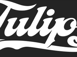 Tulips FTW