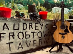 Audrey's Frogtown
