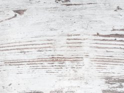 Apalachicola Yacht Club