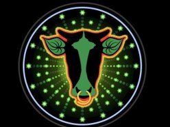 Swamp Cow Kava Lounge