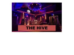 The Hive The Hive
