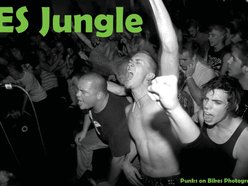 ES Jungle