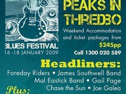 Thredbo Blues Festival