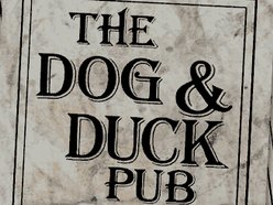 Dog & Duck Pub Dog & Duck Pub