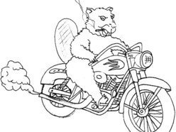 The Smokin Beaver