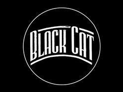 Black Cat Black Cat