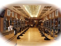 Robert Lewis Salon