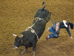 Tejas Rodeo Company