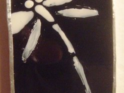 Dragonfly Songwriter Showcase