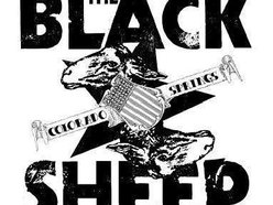 Black Sheep